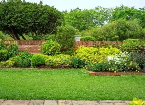 landscaping services Beltsville